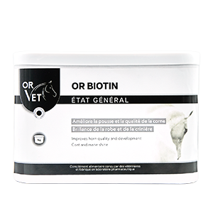 GOLD Biotin – Horn – Dress – Mane – 1 Kg – GOLD VET