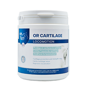 GOLD Cartilage – Locomotion – Horse – 750 g – GOLD VET