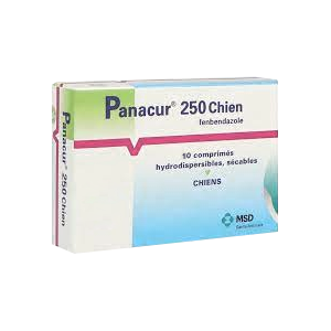 Panacur 250 – Vermifuge – Dog – 10 tablets – MSD