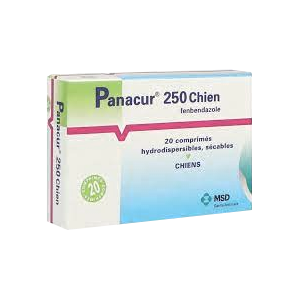 Panacur 250 – Vermifuge – Dog – 20 tablets – MSD