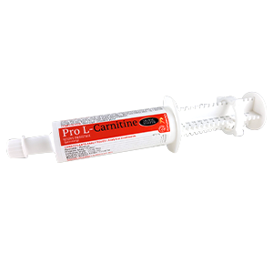 Pro L-Carnitine – Energy reserve – Horse performance – HORSE MASTER