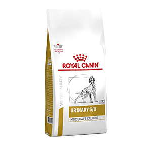 Royal Canin – Urinary S/O – Moderate Calorie – Croquettes – Dog – 1,5 Kg – ROYAL CANIN
