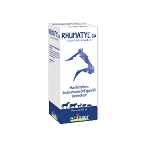 Rhumatyl GA – Rheumatism and Joints – 125 ml – BOIRON