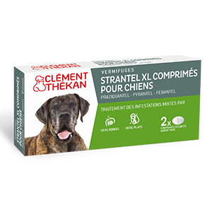 Strantel XL – Vermifuge – Dog – 2 tablets – CLÉMENT THÉKAN