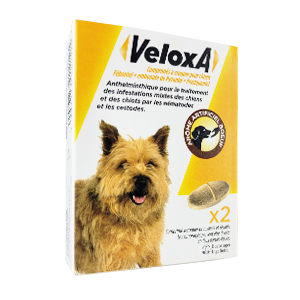 VeloxA – Broad spectrum dewormer – Dog from 2,5 to 30 kg – 2 tablets – BOEHRINGER INGELHEIM
