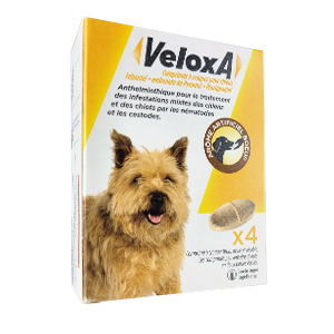 VeloxA – Broad spectrum dewormer – Dog from 2,5 to 30 kg – 4 tablets – BOEHRINGER INGELHEIM