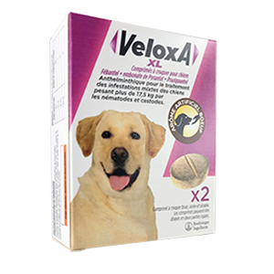 VeloxA XL – Broad spectrum dewormer – Dog over 17,5 kg – BOEHRINGER INGELHEIM