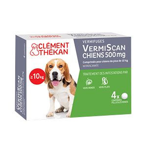 VermiScan 500 mg – Vermifuge – Dogs over 10 kg – CLÉMENT THÉKAN