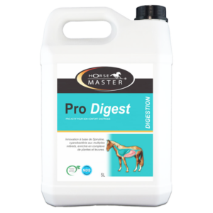 Pro Digest – Pro active gastric comfort – Horse – 5 L – HORSE MASTER