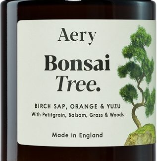 AeryBotanical Bonsai Tree candela profumata 140 g