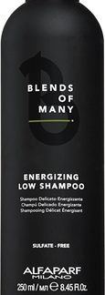 Alfaparf MilanoBlends of Many Energizing shampoo energizzante per capelli delicati e mosci 250 ml