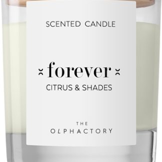 AmbientairThe Olphactory Citrus & Shades candela profumata Forever 200 g