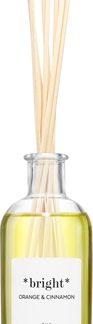 AmbientairThe Olphactory Orange & Cinnamon diffusore di aromi 100 ml