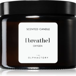 AmbientairThe Olphactory Oxygen candela profumata (brown) Breathe 360