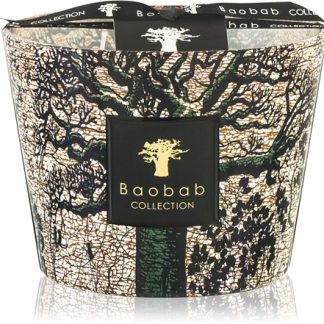 Baobab CollectionSacred Trees Kani candela profumata 10 cm