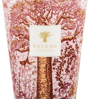 Baobab CollectionSacred Trees Woroba candela profumata 24 cm