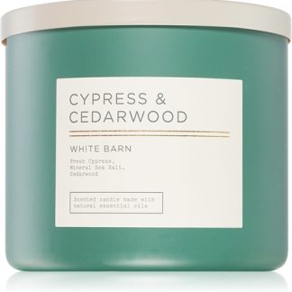 Bath & Body WorksCypress & Cedarwood candela profumata 411 g