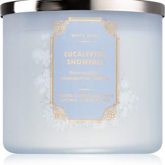 Bath & Body WorksEucalyptus Snowfall candela profumata 411 g