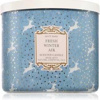 Bath & Body WorksFresh Winter Air candela profumata 411 g