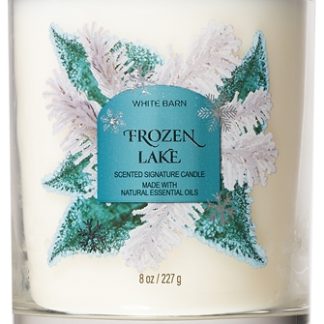 Bath & Body WorksFrozen Lake candela profumata 227 g