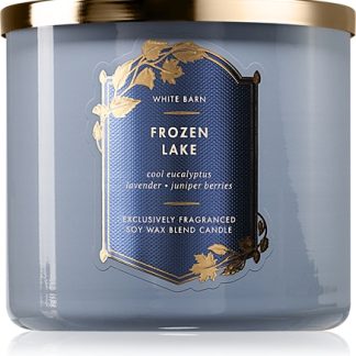 Bath & Body WorksFrozen Lake candela profumata 411 g