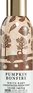Bath & Body WorksPumpkin Bonfire profumo per ambienti 42.5 g
