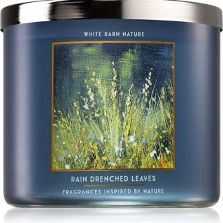 Bath & Body WorksRain Drenched Leaves candela profumata 411 g