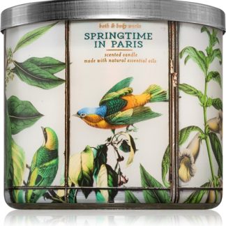 Bath & Body WorksSpringtime In Paris candela profumata 411 g