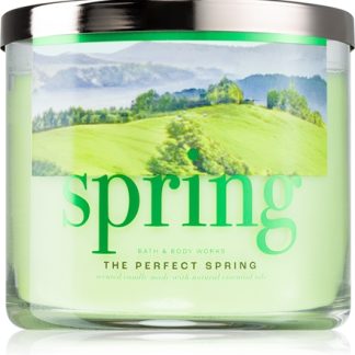 Bath & Body WorksThe Perfect Spring candela profumata 411 g