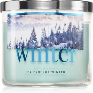 Bath & Body WorksThe Perfect Winter candela profumata 411 g