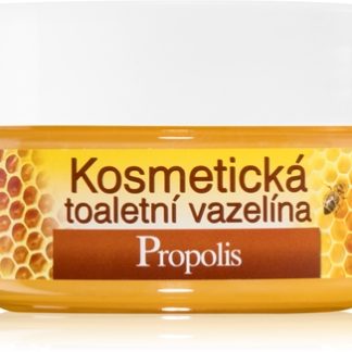 Bione CosmeticsHoney + Q10 vaselina cosmetica 155 ml