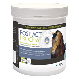 Post Act Process – Digestive disturbances – Prebiotics – 500 g – Horse – MSD