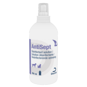 Antisept – Disinfectant solution – Dog and cat – 250 ml – DECHRA