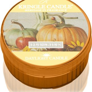 Kringle CandleGourdgeous candela scaldavivande 42 g