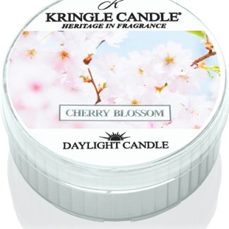 Kringle CandleWarm Cotton candela scaldavivande 42 g