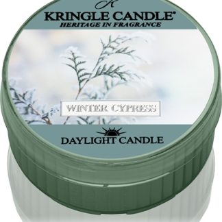 Kringle CandleWinter Cypress candela scaldavivande 42 g