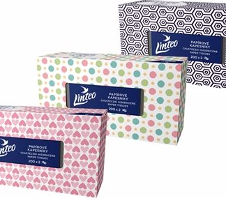 LinteoPaper Tissues Two-ply Paper, 200 pcs per box fazzoletti di carta 200 pz