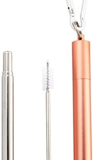 NaturalisStainless Steel Straw Telescopic set per uso quotidiano