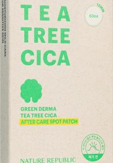 NATURE REPUBLICGreen Derma Tea Tree Cica After Care Spot Patch trattamento localizzato per pelli secche e irritate dal trattamento antiacne60 pz