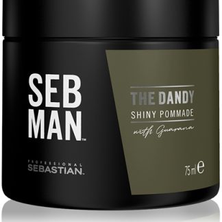 Sebastian ProfessionalSEB MAN The Dandy pomata per capelli per un fissaggio naturale 75 ml