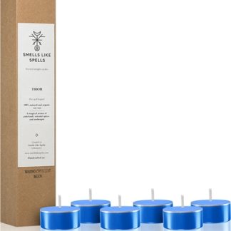 Smells Like SpellsNorse Magic Thor candela scaldavivande (concentration/career) 6 pz
