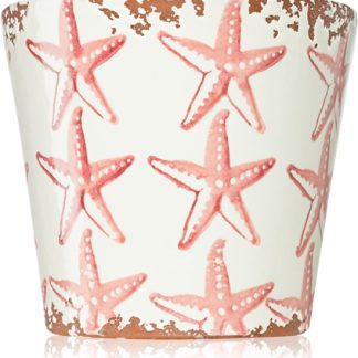Wax DesignStarfish Seabed candela profumata 14x12,5 cm