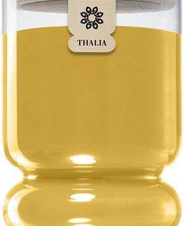 We Love CandlesThalia Orange Juice candela profumata 380 g