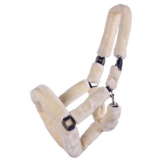 QHP Halter Alaska