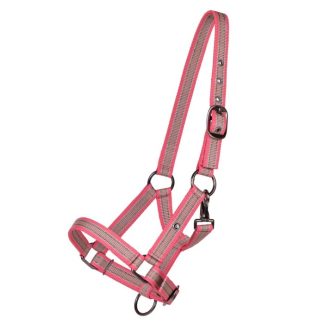 QHP SS25 Foalhalter Collection