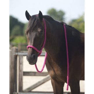 QHP lead halter
