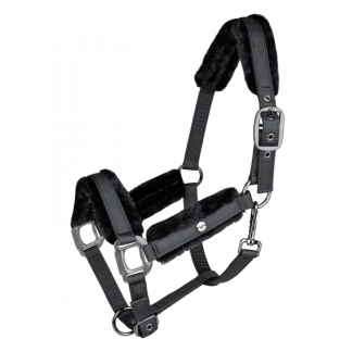 Waldhausen FW'24 Halter Phoenix
