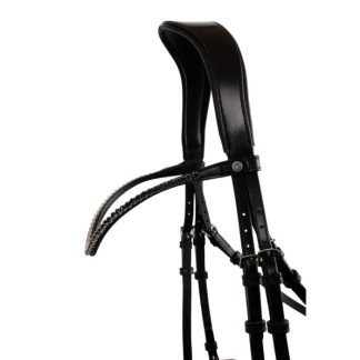 Montar FAIR Browband