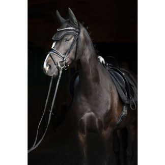 Eskadron FW'22 Essence glitter mesh earnet