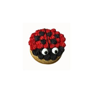 Candy Horse Spring Sugaboo Ladybug